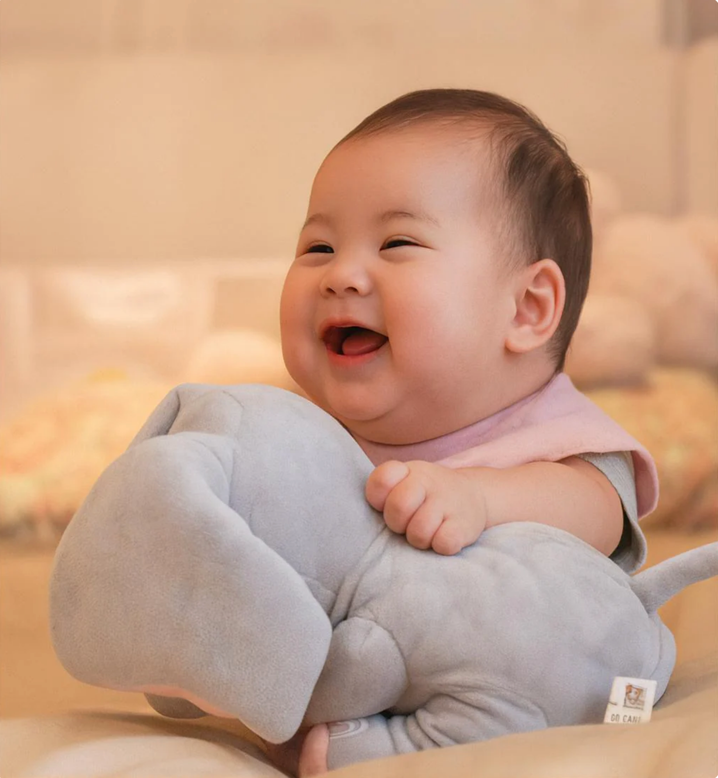 Musical Baby Elephant Toy