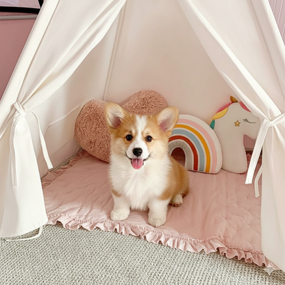 Cute puppy inside a white pet tent with pink bedding and decorative pillows.